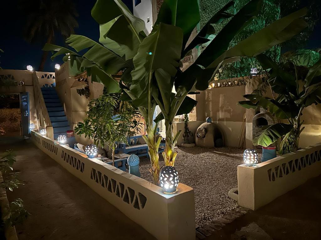 Villa Rebecca Professor'S Paradise Luxor Exterior photo